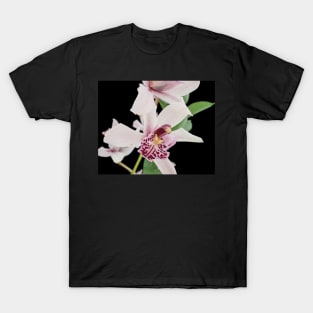 Close-up of an orchid plant T-Shirt